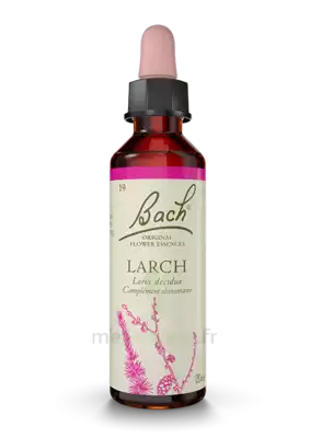 Fleurs De Bach® Original Larch - 20 Ml à Embrun